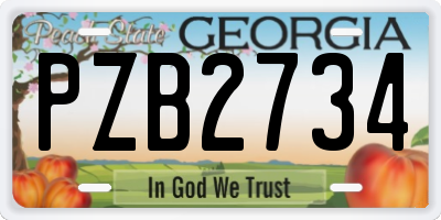 GA license plate PZB2734