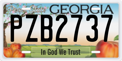 GA license plate PZB2737