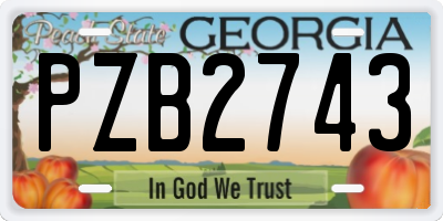 GA license plate PZB2743