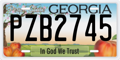 GA license plate PZB2745