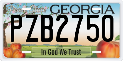 GA license plate PZB2750