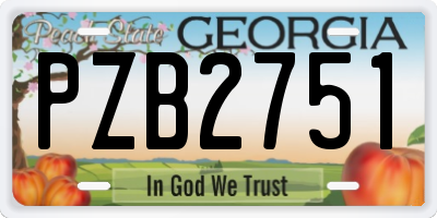 GA license plate PZB2751