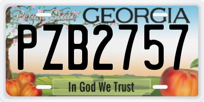 GA license plate PZB2757