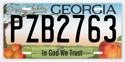 GA license plate PZB2763