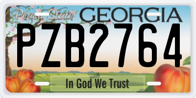 GA license plate PZB2764