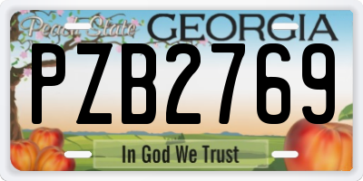 GA license plate PZB2769