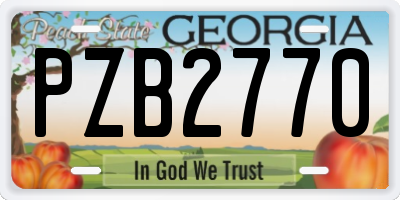 GA license plate PZB2770