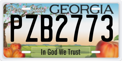 GA license plate PZB2773