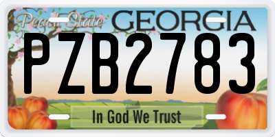 GA license plate PZB2783