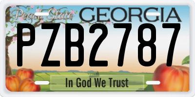GA license plate PZB2787