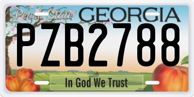 GA license plate PZB2788