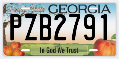 GA license plate PZB2791