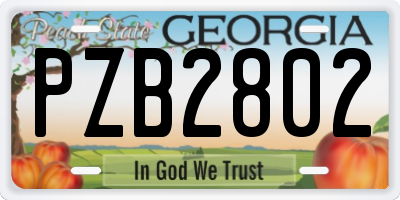 GA license plate PZB2802