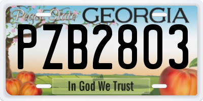 GA license plate PZB2803