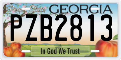 GA license plate PZB2813