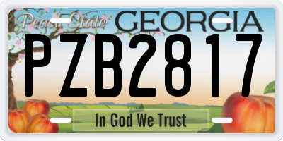 GA license plate PZB2817
