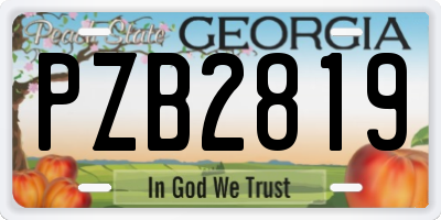 GA license plate PZB2819