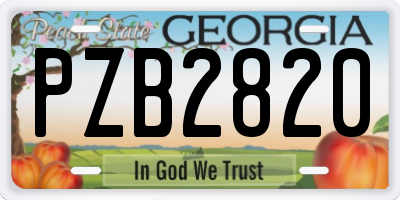 GA license plate PZB2820