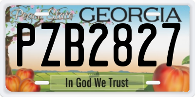 GA license plate PZB2827