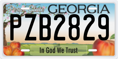 GA license plate PZB2829