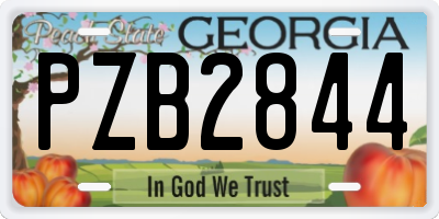 GA license plate PZB2844