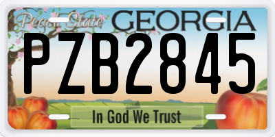 GA license plate PZB2845