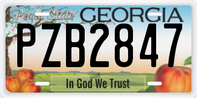 GA license plate PZB2847