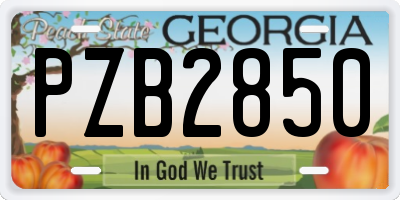 GA license plate PZB2850