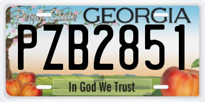 GA license plate PZB2851