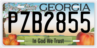 GA license plate PZB2855