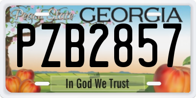 GA license plate PZB2857