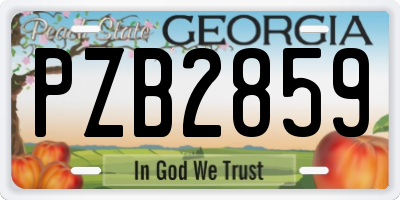 GA license plate PZB2859