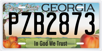 GA license plate PZB2873