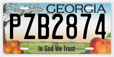 GA license plate PZB2874