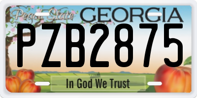 GA license plate PZB2875