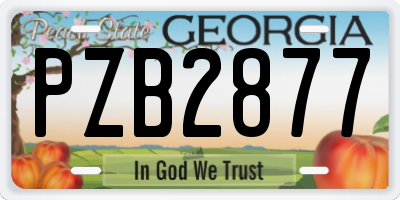 GA license plate PZB2877