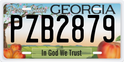 GA license plate PZB2879