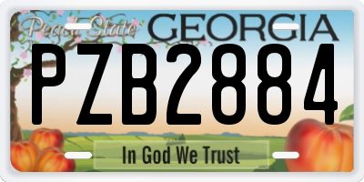 GA license plate PZB2884