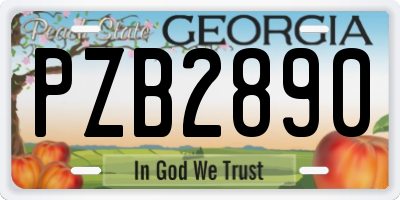 GA license plate PZB2890