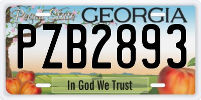 GA license plate PZB2893