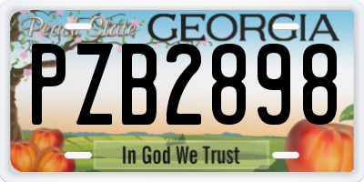 GA license plate PZB2898
