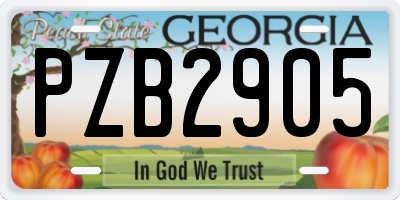 GA license plate PZB2905