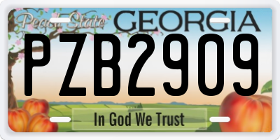 GA license plate PZB2909
