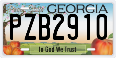 GA license plate PZB2910