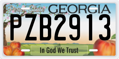 GA license plate PZB2913