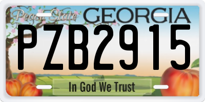 GA license plate PZB2915