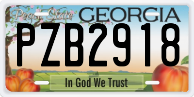 GA license plate PZB2918