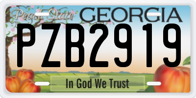 GA license plate PZB2919