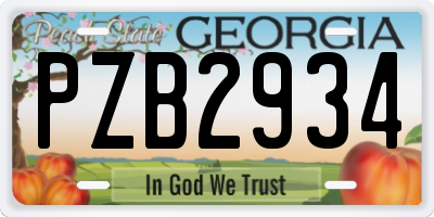 GA license plate PZB2934