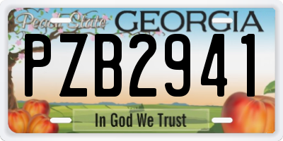 GA license plate PZB2941